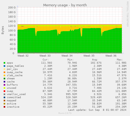 Memory usage